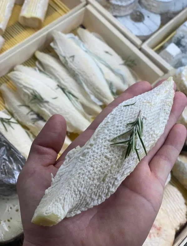 une image de fromage de vache.