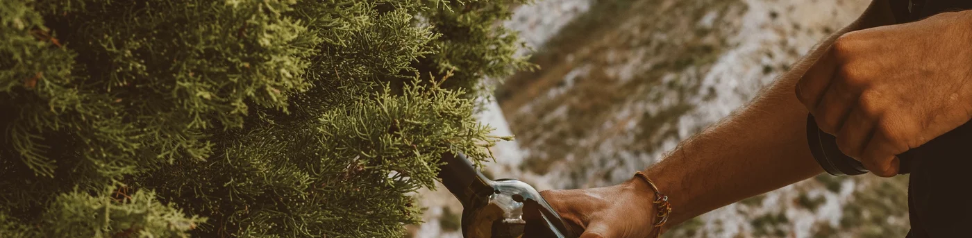 Une image d'une main servant une bouteille de vin rouge.